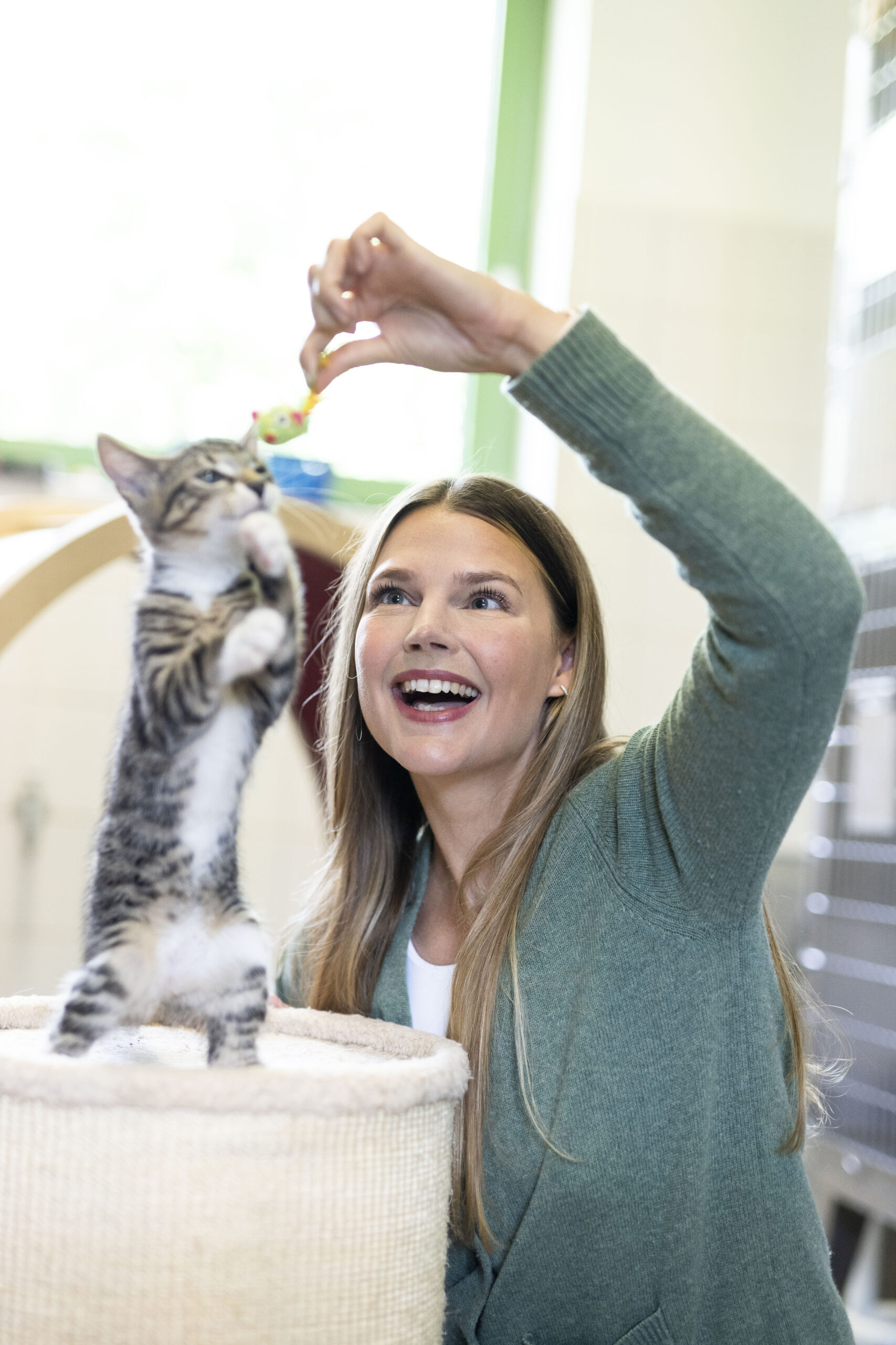 Lisa Maria Otte besucht Katzen im Tierheim an der Süderstraße © Henning Angerer