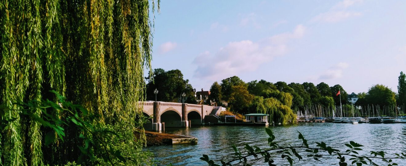 Außenalster (c) Daria by Unsplash