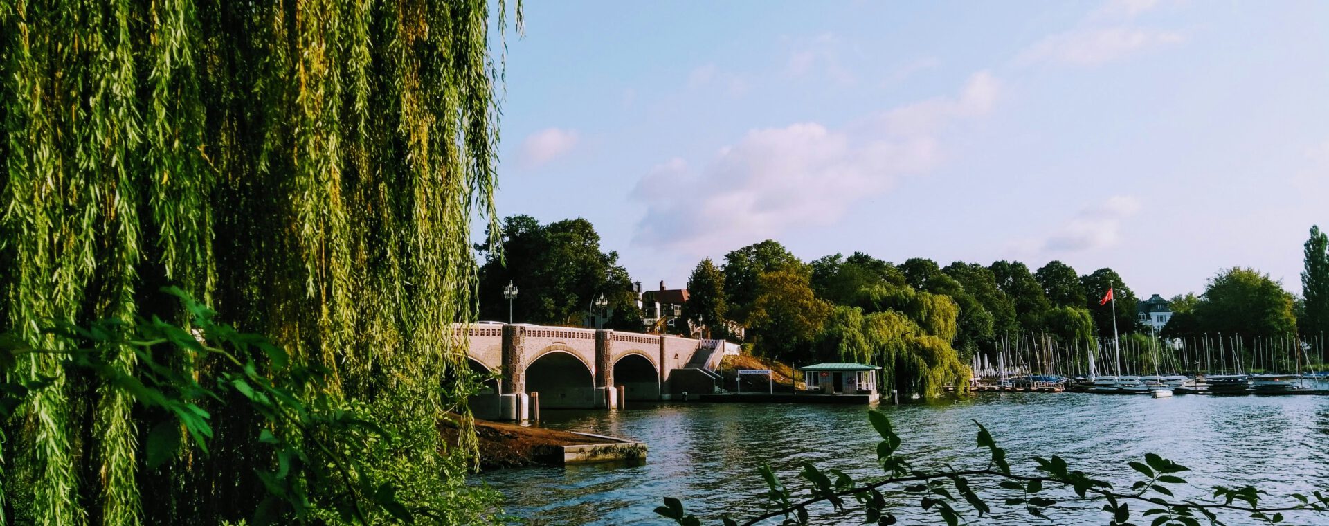 Außenalster (c) Daria by Unsplash