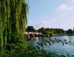 Außenalster (c) Daria by Unsplash